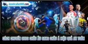 Cách Chuyển Odds Châu Âu Sang Châu Á
