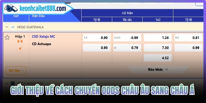 Giới thiệu về cách chuyển odds châu Âu sang châu Á