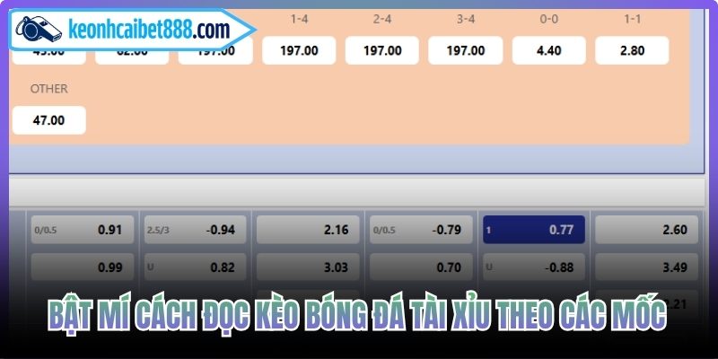 Bật mí cách đọc kèo bóng đá tài xỉu theo các mốc