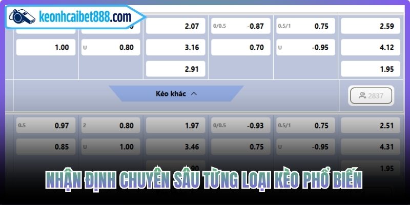 Nhận định chuyên sâu từng loại kèo phổ biến