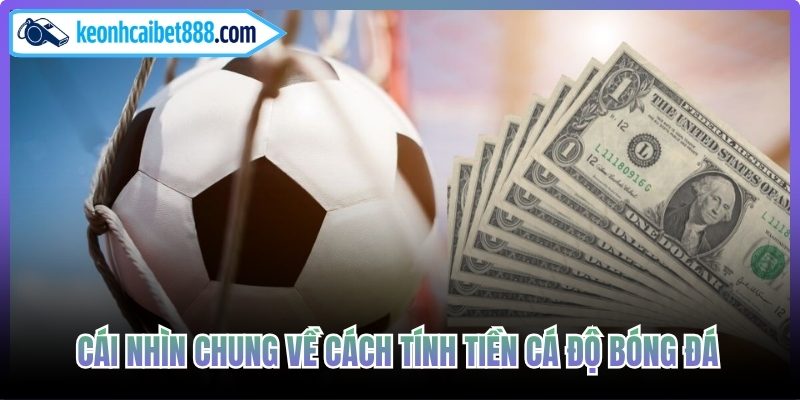 Cái nhìn chung về cách tính tiền cá độ bóng đá
