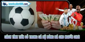 Cách Tính Tiền Cỏ Trong Cá Độ Bóng Đá