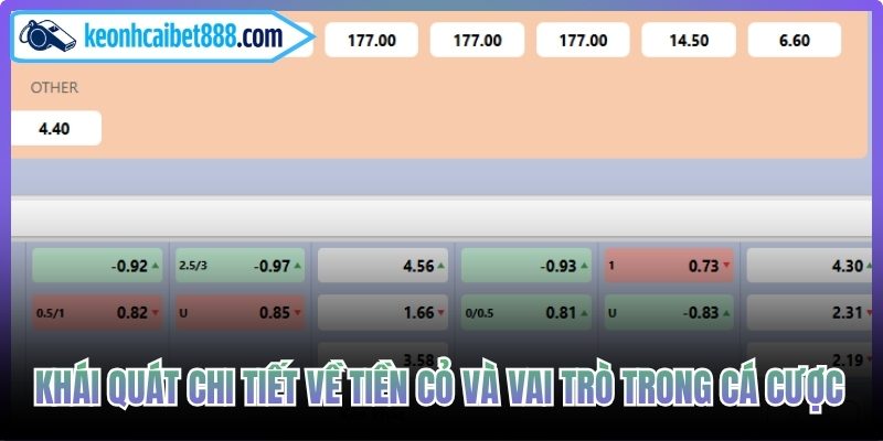 Khái quát chi tiết về tiền cỏ và vai trò trong cá cược