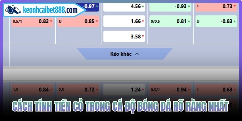 Cách tính tiền cỏ trong cá độ bóng đá rõ ràng nhất