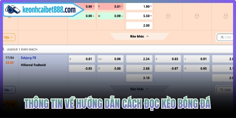 Thông tin về hướng dẫn cách đọc kèo bóng đá