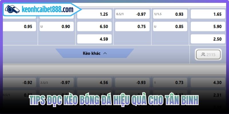 Tips đọc kèo bóng đá hiệu quả cho tân binh