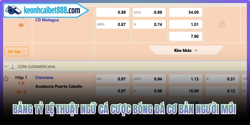 Bảng tỷ lệ thuật ngữ cá cược bóng đá cơ bản người mới