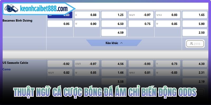 Thuật ngữ cá cược bóng đá ám chỉ biến động Odds