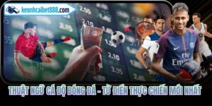 Thuật Ngữ Cá Độ Bóng Đá