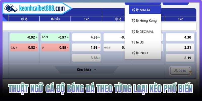 Thuật ngữ cá độ bóng đá theo từng loại kèo phổ biến